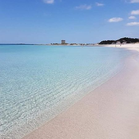 Vivi Salento - Villa A Torre Lapillo Εξωτερικό φωτογραφία